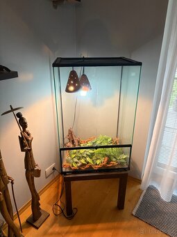 Terárium 60x45x90cm - 2