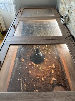 Terarium 80x190x80 cm - 2