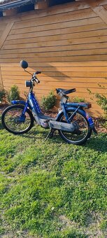 Piaggio ciao - 2