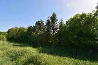 Prodej pozemek Pole, 7326㎡ - 2
