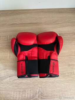 Boxerské rukavice - 2