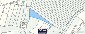 Prodej lesy, 6 823 m2 - Bělkovice-Lašťany, ev.č. OEH-P2267 - 2