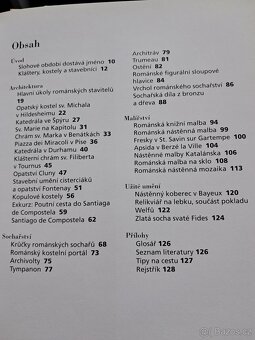 Umění gotiky a románské 2 knihy - 2