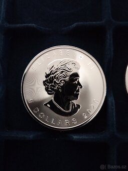 stříbrné mince Maple Leaf 2020 - 2