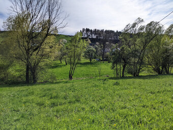 Prodám zahradu 2000m² - Frýdštejn - Sestroňovice - 2