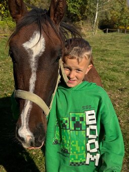 Úžasný líbivý hodny hřebeček - 2