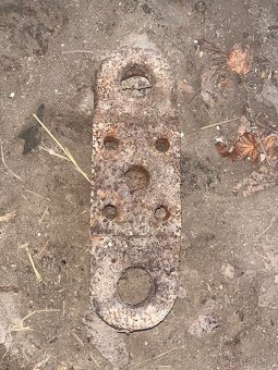 Oko na lis sena Forschritt - 2