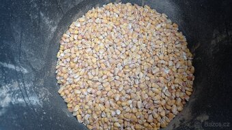 Kukuřice , zrno , drcená. - 2