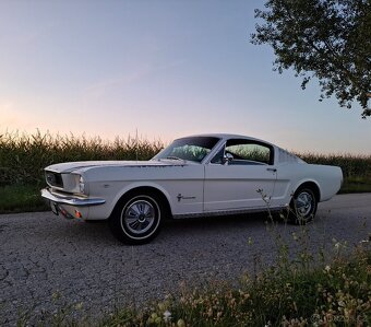 Ford Mustang Fastback - 2