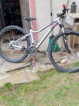 Specialized 29 - 2