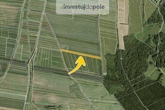 Prodej pole v k.ú. Javorník nad Veličkou - 2