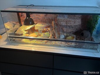 Terárium 120x50x50 s australským pozadím - 2