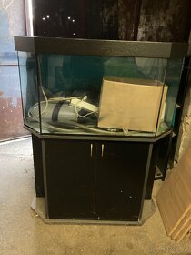 Akvárium 240 litrů - 2