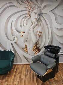 Pronájem kadeřnického křesla - 2