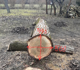 Prodej kmene ořešáku 1 - 2