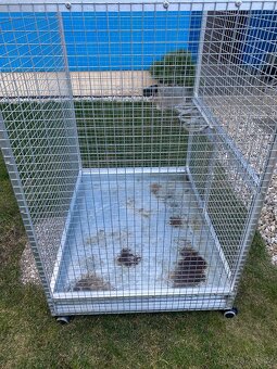 Klec pro papouška - 2