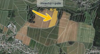 Prodej pole v k.ú. Dešná - 2