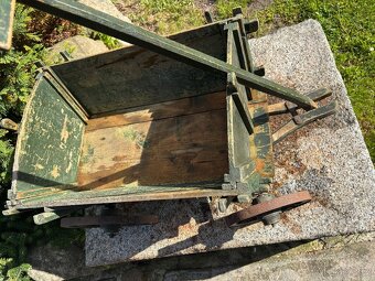 Žebřiňák bedňáček - 2