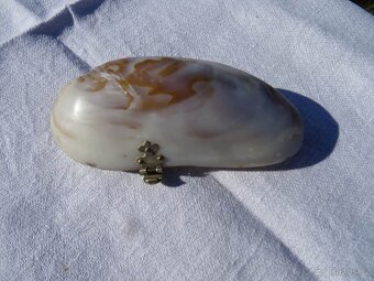 Starožítná etui z lastury. - 2