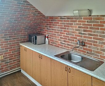 Pronájem ubytovacího zařízení pro 4 až 12 osob ve Velkém Mez - 2