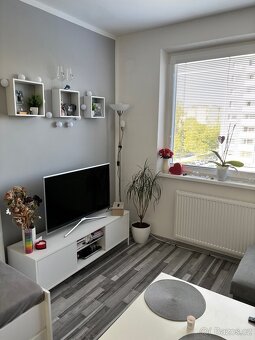 Byt 1+kk - pronájem - 2