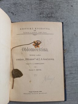 Oblomovština - kniha - 2