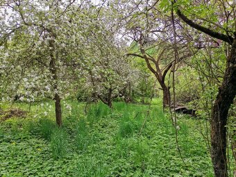 Prodej zahrady v Obřanech-Maloměřicích - 2