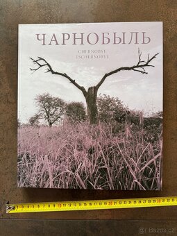 Kniha Černobyl - 2