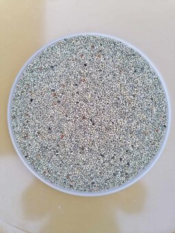 Proso mix barev , lesknice, slunečnice, oves - 2