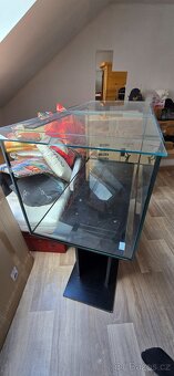 Aquarium - 2