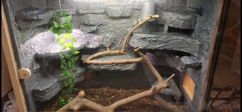 Terarium 250cmx101cmx61cm - 2