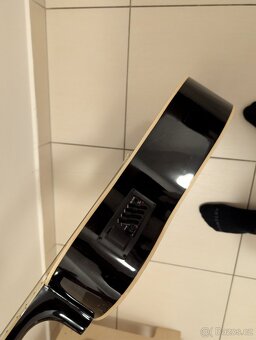 Elektroakustická kytara Pasadena - 2