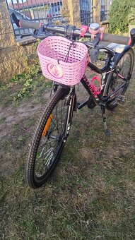 Dívčí kolo MAXBIKE 24 - 2