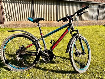 Leader Fox chlapecké 24" - 2