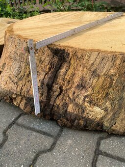 Dubová kruhová deska, příčný řez, průměr 100cm - 2