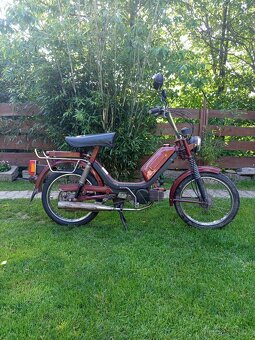 Babeta Jawa 555 lux - 2