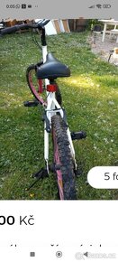 Dívčí horské kolo - 2