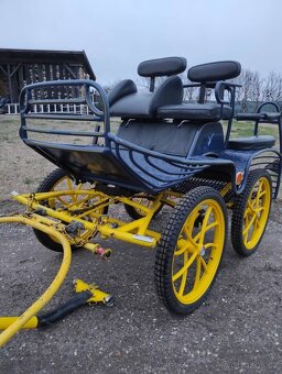 Vagoneta brička - 2