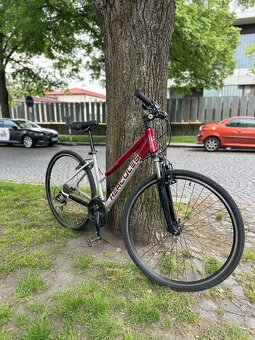 Městské kolo - 2