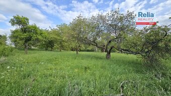 Pronájem ovocného sadu 2 532 m2 - Turnov, ev.č. N50714 - 2