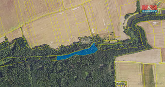 Prodej pole, 11043 m², Svárov - 2