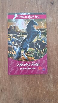 Škola jednorožců a Záhadný hřebec - 2