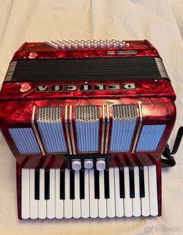 Akordeon Delicia Junior - 2
