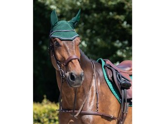 Anatomická uzdečka QHP - cob - 2