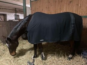 Odpocovací deka Equiline nová - 2