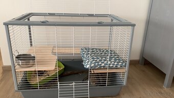 králík minilop s klecí, přepravkou a příslušenstvím - 2