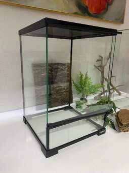 Terárium - 2