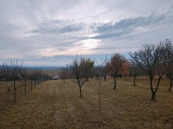 Prodej zahrady u Uherského Hradiště 1297 m2 - 2