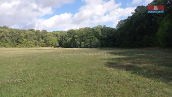 Prodej louky, 16692 m², Jenčice - 2