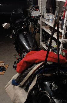 Opierka Sissy Bar - 2